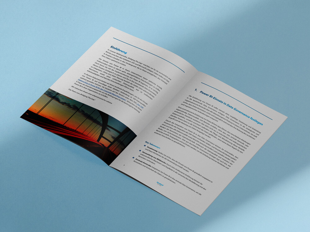 E-Paper 4 Empfehlungen für den direkten Einsatz von Power BI auf SAP-Datenquellen